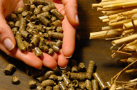 free Clint Green biomass boiler quotes